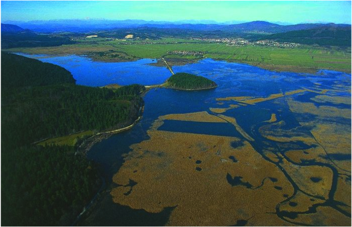 (datoteke/pjezero.png)