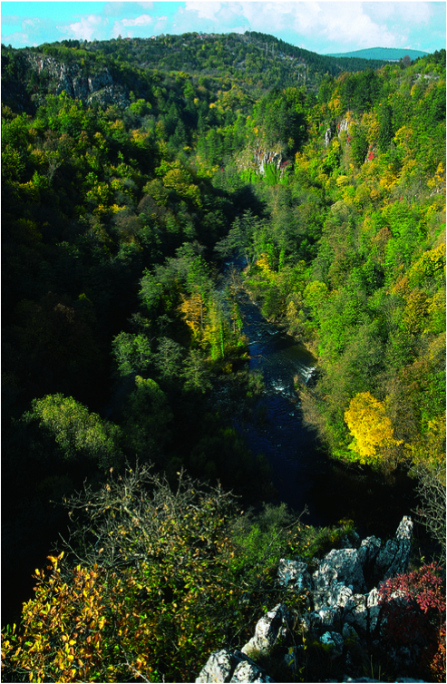 (datoteke/skocjan.png)